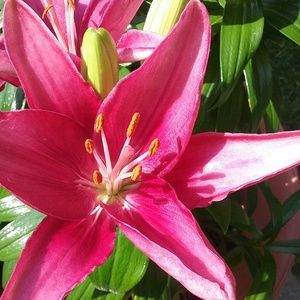 Meet your Posher, Leigh